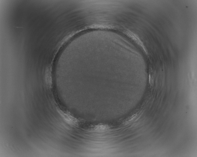 X0000075390204200610061913