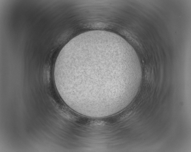 X0000075390206200610061913