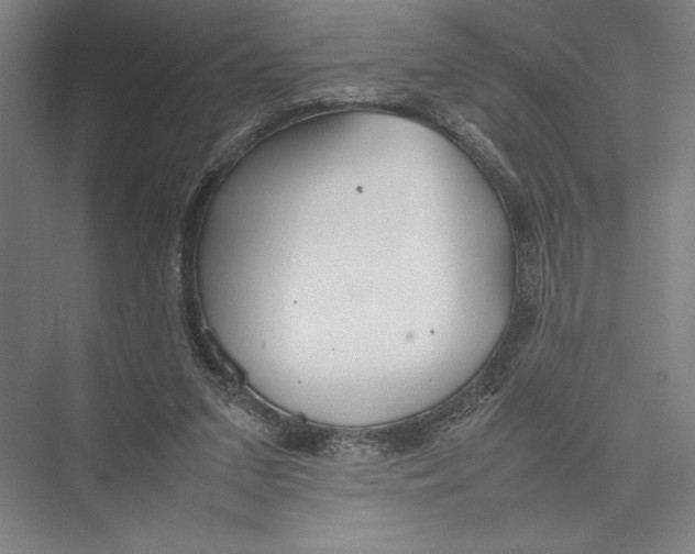 X0000075390207200610061913