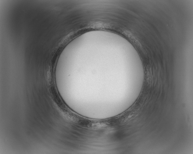 X0000075390208200610061913