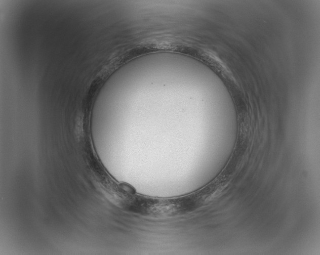 X0000075390213200610061913