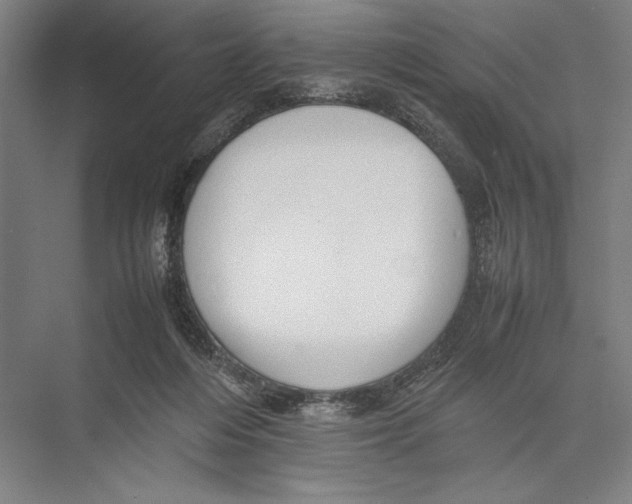 X0000075390216200610061913