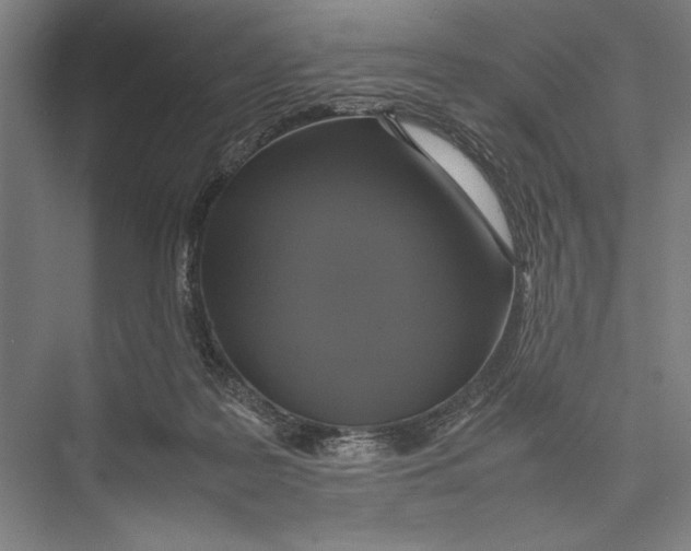 X0000075390219200610061913