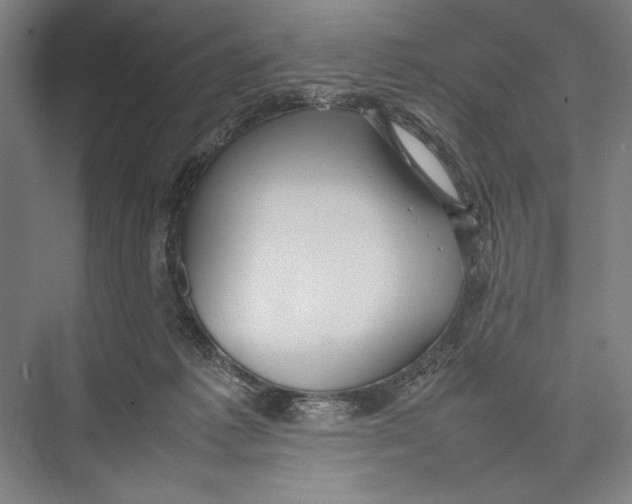 X0000075390221200610061913