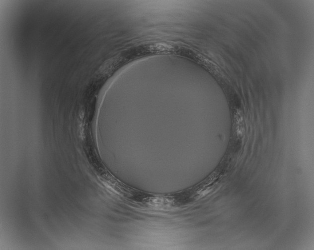 X0000075390223200610061913