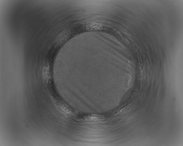 X0000075390224200610061913