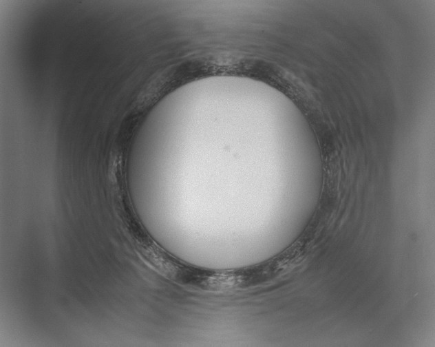 X0000075390225200610061913