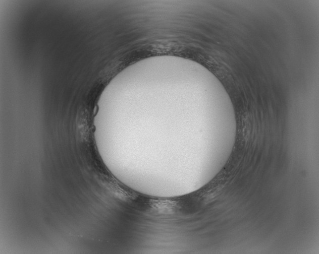X0000075390226200610061913