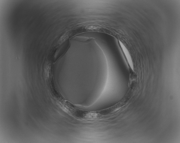 X0000075390227200610061913