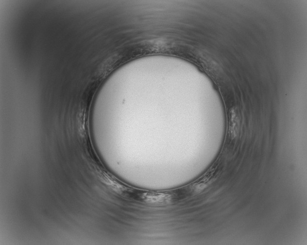 X0000075390230200610061913