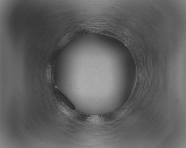 X0000075390231200610061913
