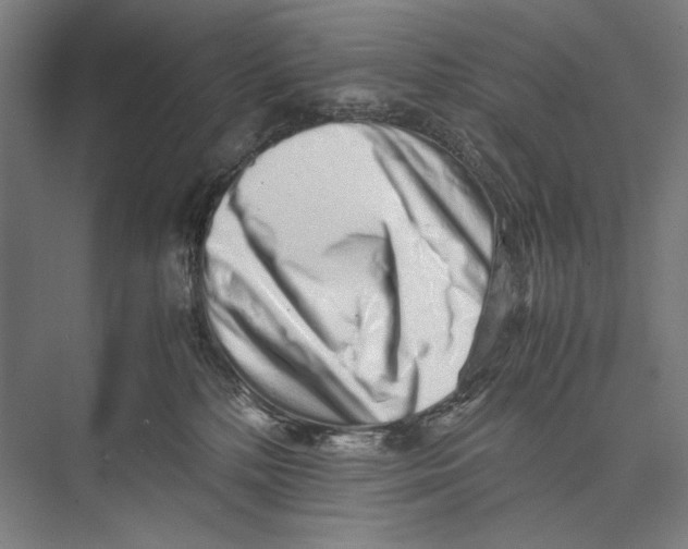 X0000075390232200610061913