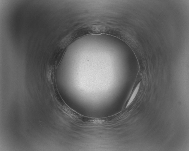 X0000075390233200610061913