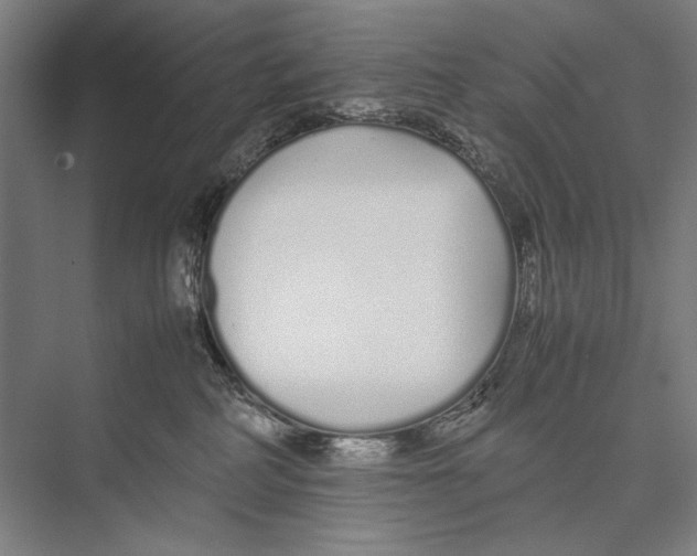 X0000075390234200610061913