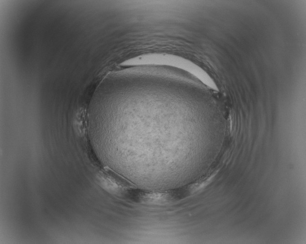 X0000075390237200610061913