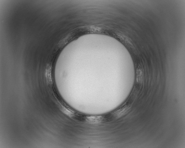 X0000075390238200610061913