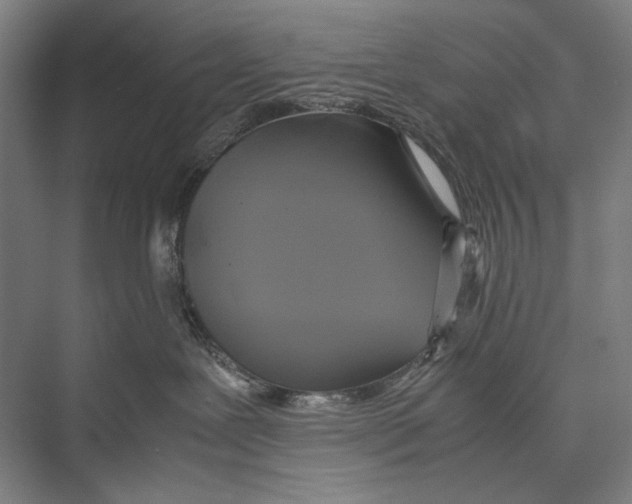 X0000075390239200610061913