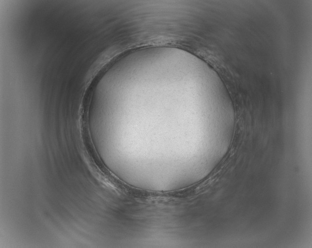 X0000075390242200610061912