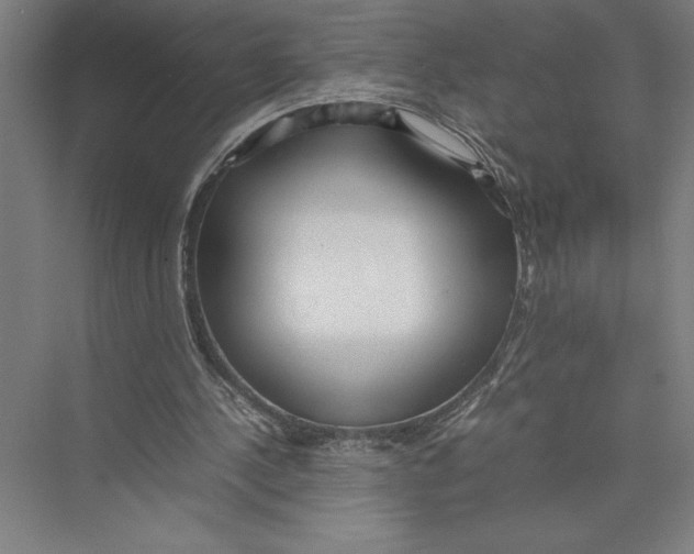 X0000075390244200610061912