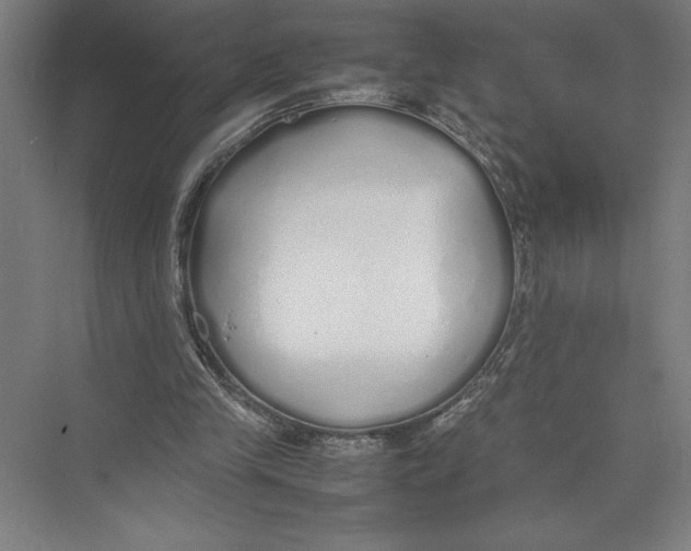 X0000075390245200610061912