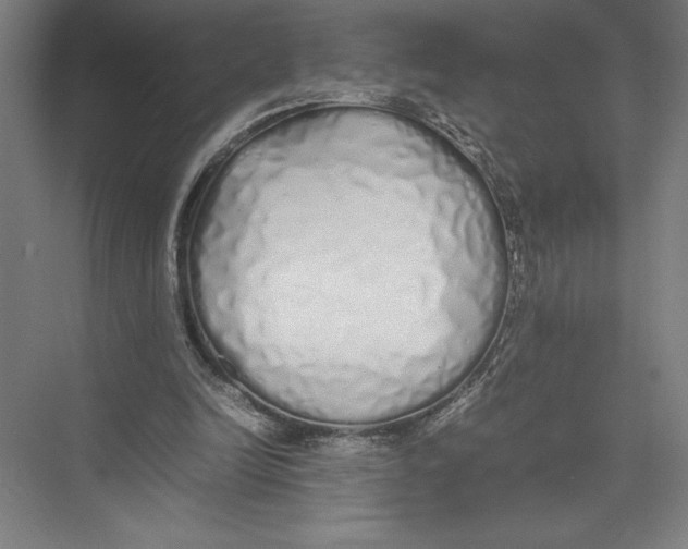 X0000075390246200610061912