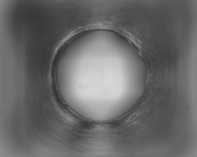 X0000075390248200610061912