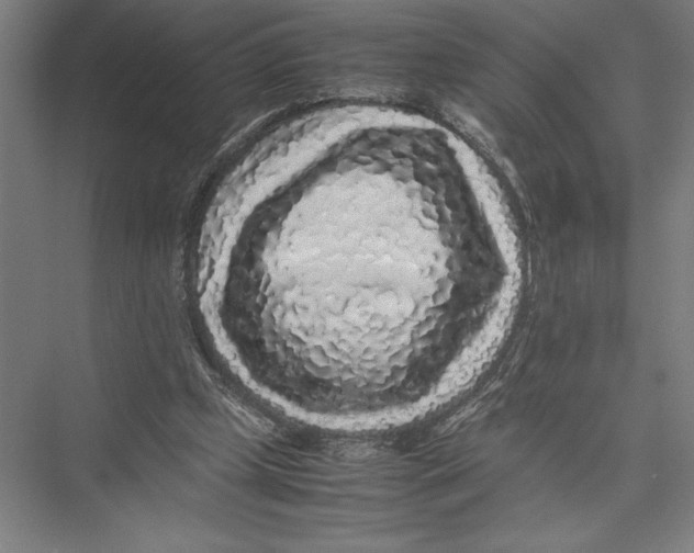 X0000075390249200610061912