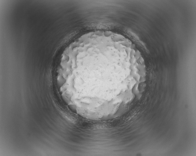 X0000075390250200610061912
