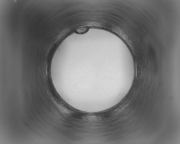 X0000075390253200610061912