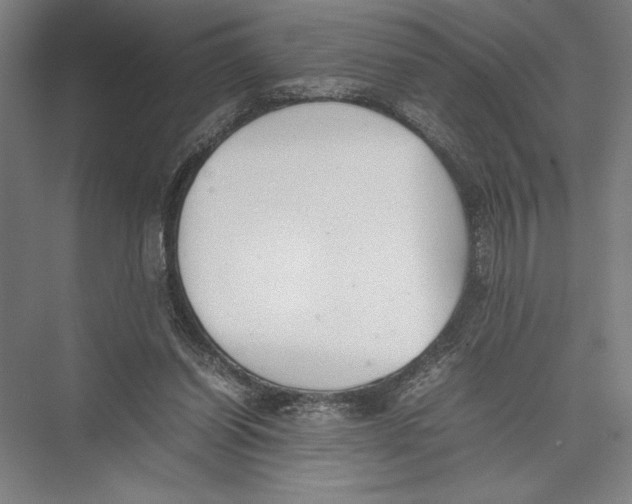 X0000075390254200610061912