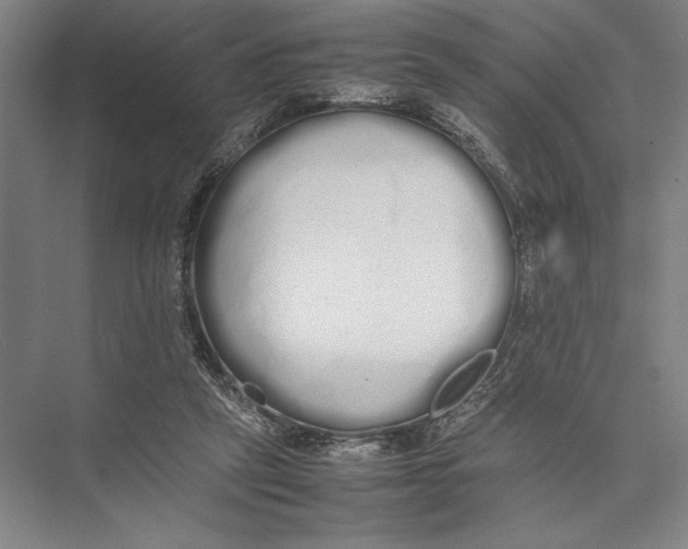 X0000075390257200610061912