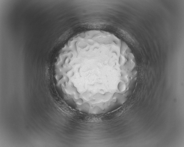 X0000075390258200610061912