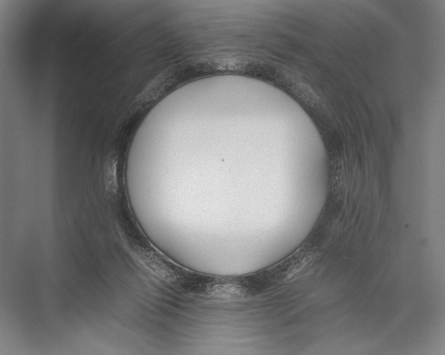 X0000075390262200610061912