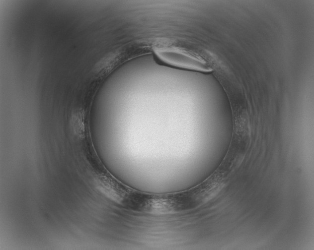 X0000075390264200610061912