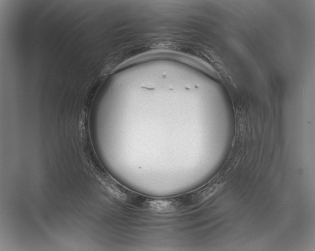 X0000075390265200610061912