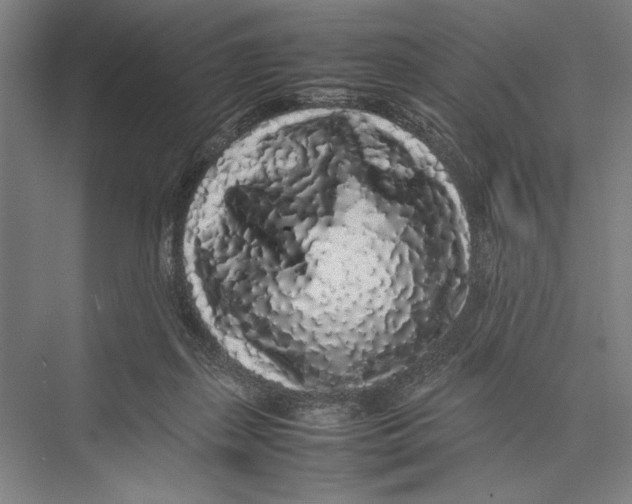 X0000075390267200610061912