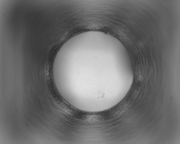 X0000075390268200610061912