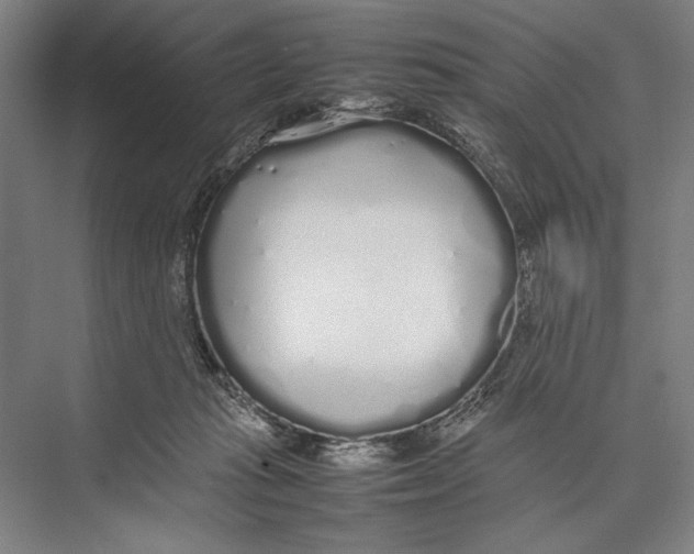 X0000075390269200610061912