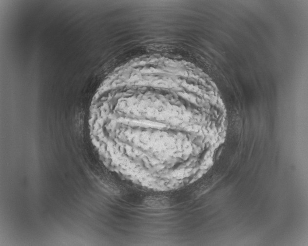 X0000075390271200610061912