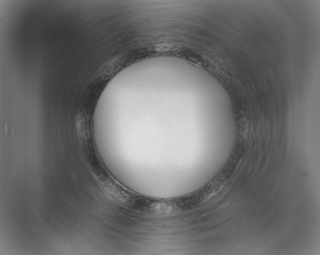 X0000075390272200610061912