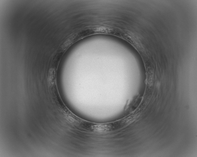 X0000075390273200610061912