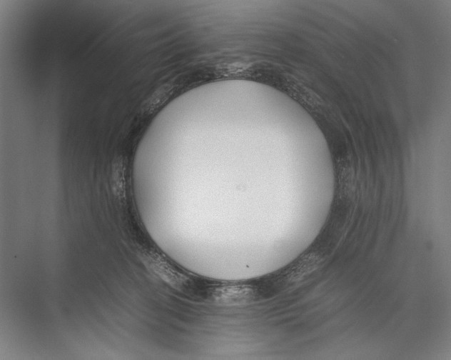 X0000075390274200610061912