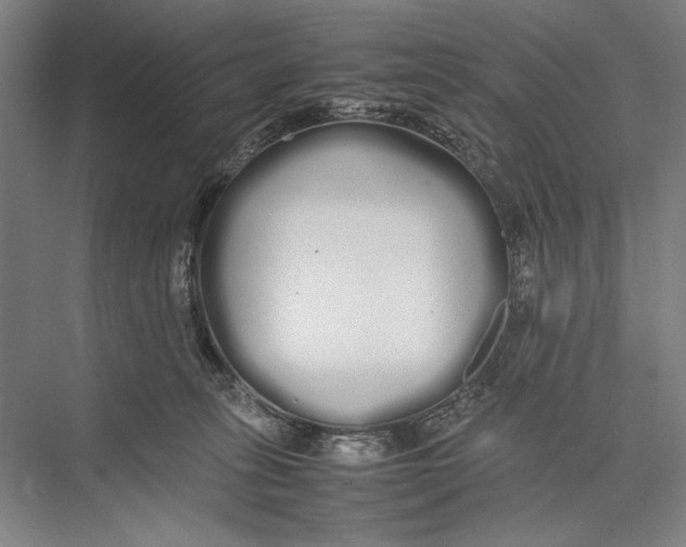 X0000075390275200610061912