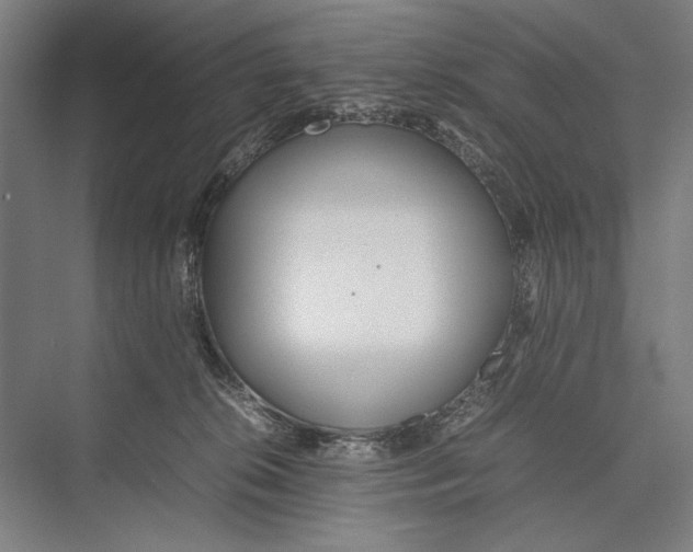 X0000075390276200610061912