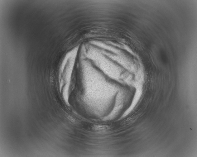 X0000075390277200610061912