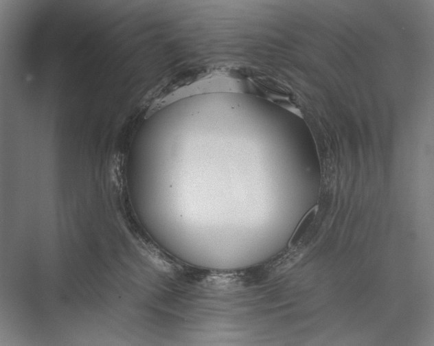 X0000075390280200610061913