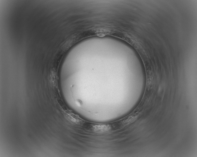 X0000075390281200610061913