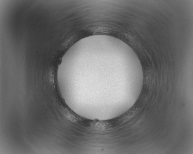 X0000075390282200610061913