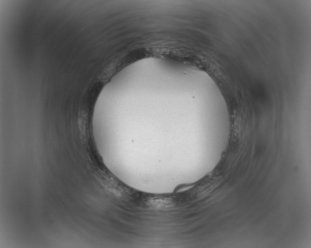 X0000075390283200610061913
