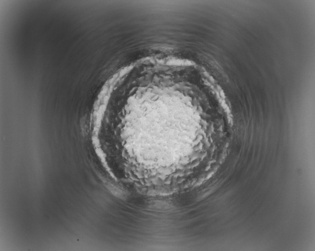 X0000075390285200610061913